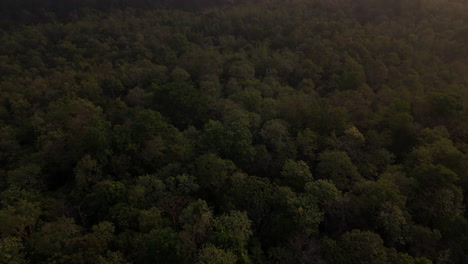 Aerial-Fly-Over-of-Jungle-in-kerala-forest-athirappilly-forest