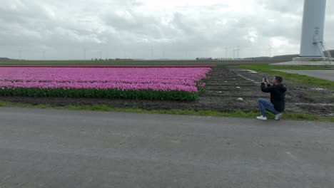 Abril-De-2024:-Antena-4k-De-Campos-De-Tulipanes-En-Flevolanda,-Países-Bajos