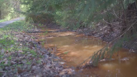 Agua-De-Lluvia-Contaminada-Por-El-Suelo,-El-Paisaje-Rural,-El-Camino-Y-La-Vegetación