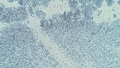 Bosque-Invernal-Completamente-Cubierto-De-Nieve,-Vista-Aérea-De-Drones