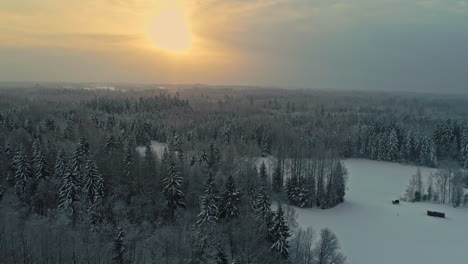 Campos-Forestales-Congelados-Con-Lago-Convertido-En-Ubicación-Rural-De-Invierno-Helado,-Cámara-Lenta-De-Drones-Aéreos,-Fondo-De-Horizonte-De-Bola-De-Sol-Dorado