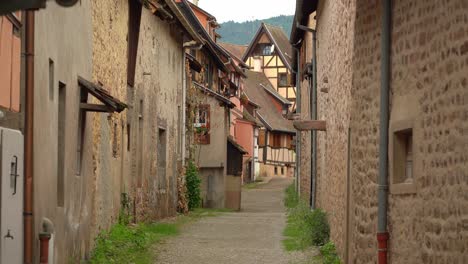 Eguisheim-is-a-very-pleasant-place-to-visit-on-foot-and-the-walled-city-spreads-out-in-concentric-circles-and-it-is-very-pleasant-to-walk-around-it