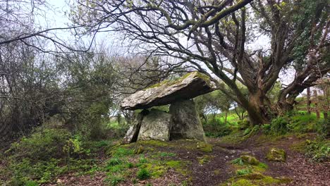 Timelapse-Lugares-Delgados-En-Irlanda-Dolmen-De-Gaulstown-En-Un-Día-Ventoso-Ramas-De-árboles-Brillando-En-Este-Paisaje-Místico-De-Waterford-Irlanda