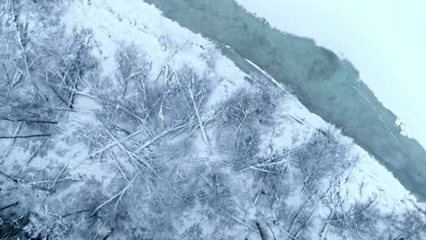 Bosque-Y-Lago-Congelado-En-La-Fría-Temporada-De-Invierno,-Vista-Aérea-De-Arriba-Hacia-Abajo