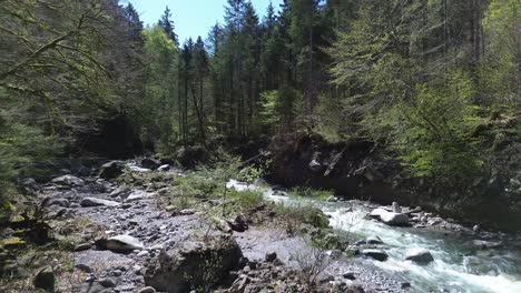 4K-Drohnenflug-über-Einen-Wunderschönen,-Von-Wald-Umgebenen-Gebirgsfluss