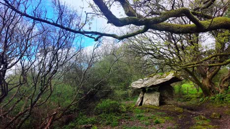 Wind-in-the-branches-ancient-ground-and-spiritual-place-of-the-ancestors-religious-site-and-window-of-the-past-Gaulstown-Dolmen-Waterford-Ireland