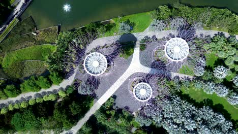 Aerial-drone-landscape-of-Supertree-grove-with-walkway-in-Gardens-by-the-Bay-Singapore-city-Marina-art-design-trees-nature-park-Asia-travel-tourism