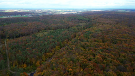 Imágenes-Aéreas-De-Drones-Sobre-Un-Bosque-Polaco-En-Otoño,-Que-Muestran-La-Vibrante-Transición-De-Las-Hojas-Del-Verde-Al-Rojo