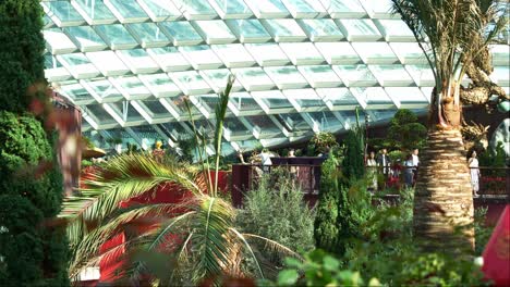Tourists-visiting-the-landmark-attraction,-world-largest-glass-greenhouse-Flower-Dome-conservatory-at-Gardens-by-the-bay