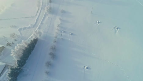 Snow-covered-farmland-and-small-township,-aerial-drone-view