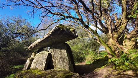 Gaulstown-Dolmen-Waterford-Irlanda-Portal-A-Los-Tiempos-Antiguos-Y-La-Historia-En-Una-Hermosa-Mañana-De-Primavera-En-Un-Antiguo-Bosque-Místico