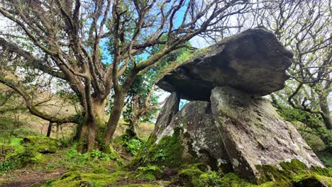 Zeitlose-Orte,-Antike-Strukturen,-Dolmen-Und-Bestattungsrituale-In-Der-Antike,-Gaulstown-Dolmen,-Waterford,-Irland,-Altes-Denkmal-Und-Schmaler-Ort-In-Der-Zeit