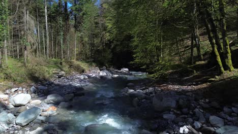 Río-De-Montaña-Cristalino-Rodeado-De-Bosque