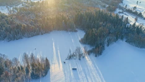 Toma-Aérea-De-Un-Dron-De-Un-Bosque-Cubierto-De-Nieve-Cuando-Comienzan-Las-Nevadas