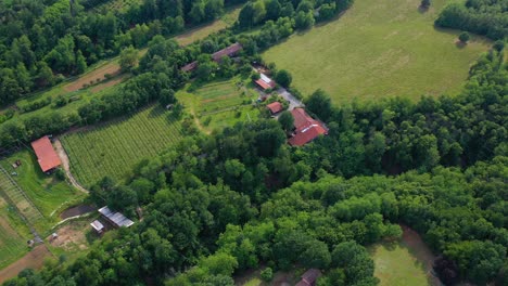 Aerial-view-around-a-winery,-in-sunny-Piedmont,-Italy---circling,-drone-shot