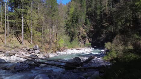 4K-Drohnenflug-Neben-Kleinen-Kiefern-In-Richtung-Eines-Wunderschönen,-Von-Wald-Umgebenen-Gebirgsflusses