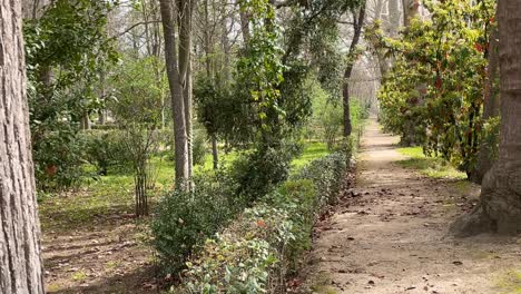 Wir-Stellen-Uns-Eine-Unbefestigte-Straße-Mit-üppiger-Vegetation-Vor