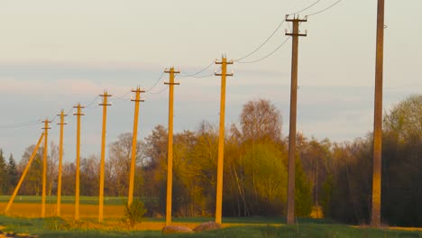 Statische-Aufnahme-Einer-Alten-Ländlichen-Stromleitung-Mit-Betonmasten,-Lettland