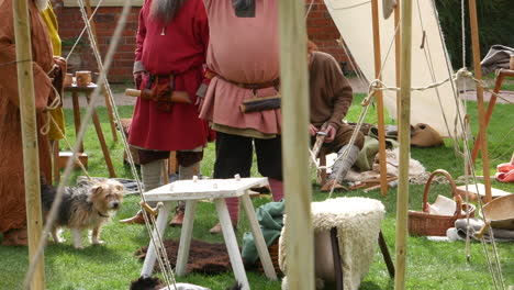 Campamento-Vikingo-Medieval