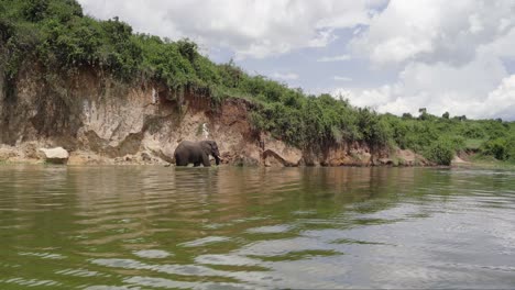 Elefantes-Africanos-En-El-Canal-Kazinga-En-El-Parque-Nacional-Reina-Elizabeth,-Uganda