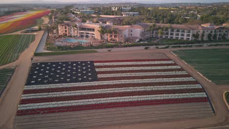Drone-Hyperlapse-over-floral-United-States-Flag-Right-to-Left-Rotation-Red-White-and-Blue-Fowers-Green-Fields-Hotel-and-colorful-striped-fields-in-the-background