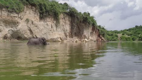 Elefante-Africano-Bañándose-En-El-Canal-Kazinga-En-El-Parque-Nacional-Reina-Elizabeth-En-Uganda