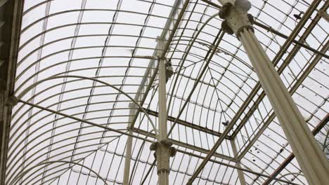 Detail-Des-Gewächshauses-Mit-Metall--Und-Glasstruktur-Im-National-Botanic-Gardens-Of-Ireland