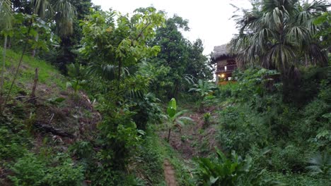 Bamboo-hut-in-the-jungle-wooden-hut-in-green-forest-jungle-old-style