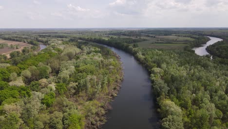 Aerial-rise-over-bend-in-Tisza-River-running-through-forest,-fields-in-Hungary