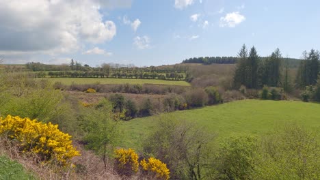 Waterford-Greenway-Exuberantes-Tierras-De-Cultivo-Cerca-De-Kilmacthomas-En-Un-Cálido-Día-De-Primavera