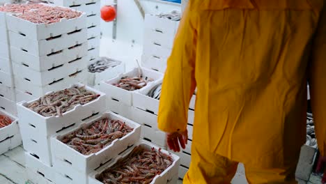 Fisherman-with-yellow-jumpsuit-unloading-crates-of-fish-and-shrimps-onto-boat's-deck