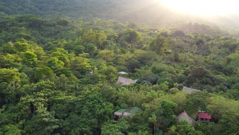 Exuberante-Selva-Verde-Paisaje-Tropical-Colombia-Vista-Aérea-Vuelo-Drone