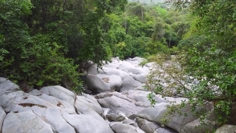 Fluss-Berg-Wald-Grün-Wild-Sauberes-Wasser-Bach-Bach-Langsam-Antenne