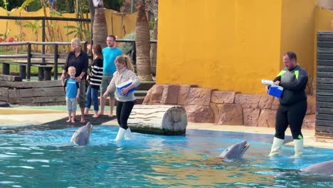Selwo-world-dolphins-feeding-time-by-trained-staff-Benalmádena-Spain