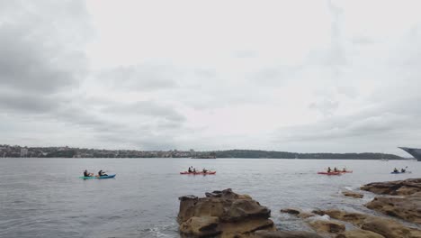 Grupo-De-Kayak-En-El-Puerto-De-Sydney-En-Un-Día-Nublado-Y-Ventoso