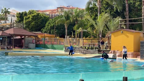 Selwo-World-marina-aquapark-dolphin-mammal-show-in-Benalmádena-Spain