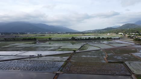 Aerial-shot-of-rice-fields-in-Yokohama-city,-Kanagawa-Prefecture,-Japan