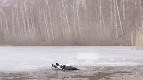 Diver-in-dry-suit-and-full-face-mask-emerges-dramatically-from-icy-lake,-slomo