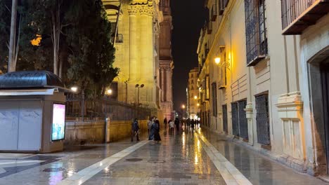 Streets-of-Malaga-Spain-at-night-Costa-del-Sol-nightlife-spanish-city