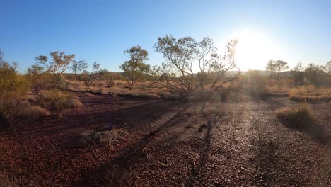 Shadows-of-trees-and-plants-in-Karijini-National-Park-at-sunset