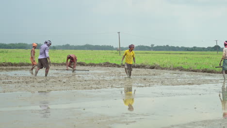 Grupo-De-Agricultores-Indios-Que-Trabajan-En-La-Tierra-Cultivada