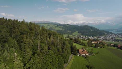 Antena-De-Un-Bosque-Y-Granjas-Con-Un-Pequeño-Pueblo-Y-Montañas-Al-Fondo