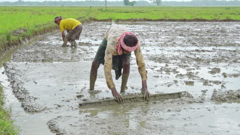 Indische-Bauern-Arbeiten-Auf-Dem-Gepflügten-Feld