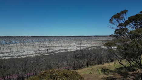 Bird's-eye-view-of-the-parched,-degraded-landscape-of-Lake-Taarbin-due-to-rising-salinity