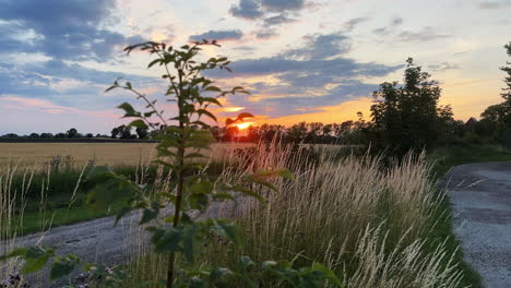 Eine-Wunderschöne-Aufnahme-Eines-Sonnenuntergangs-Auf-Einer-Wiese-In-Südschweden