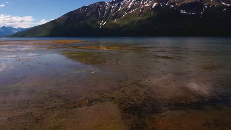 Luftaufnahme-Von-Möwen-In-Einem-Fjord-Im-Norden-Norwegens