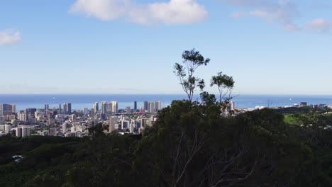 Drone-footage-ascending-above-the-trees-as-birds-fly-by-to-reveal-the-city-of-Honolulu-Hawaii-on-the-island-of-Oahu-against-the-blue-pacific-ocean