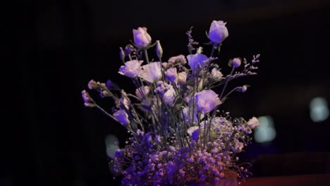 White-flower-arrangement-illuminated-by-colorful-lights-at-night-party-event