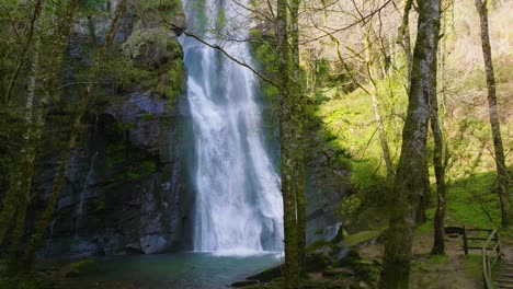Wasserfall-Seimeira-De-Vilagocende,-Der-In-Einen-Natürlichen-Pool-Im-Wald-Stürzt