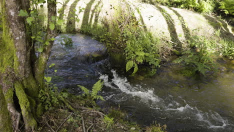 Water-quickly-flows-down-stream-between-choke-point-in-brook-bubbling-at-spring-time